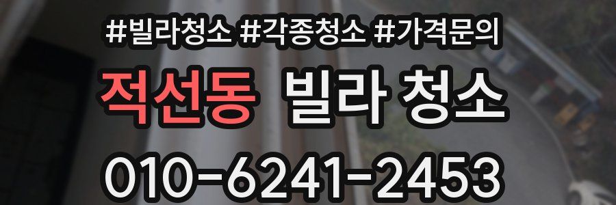 적선동 빌라 청소