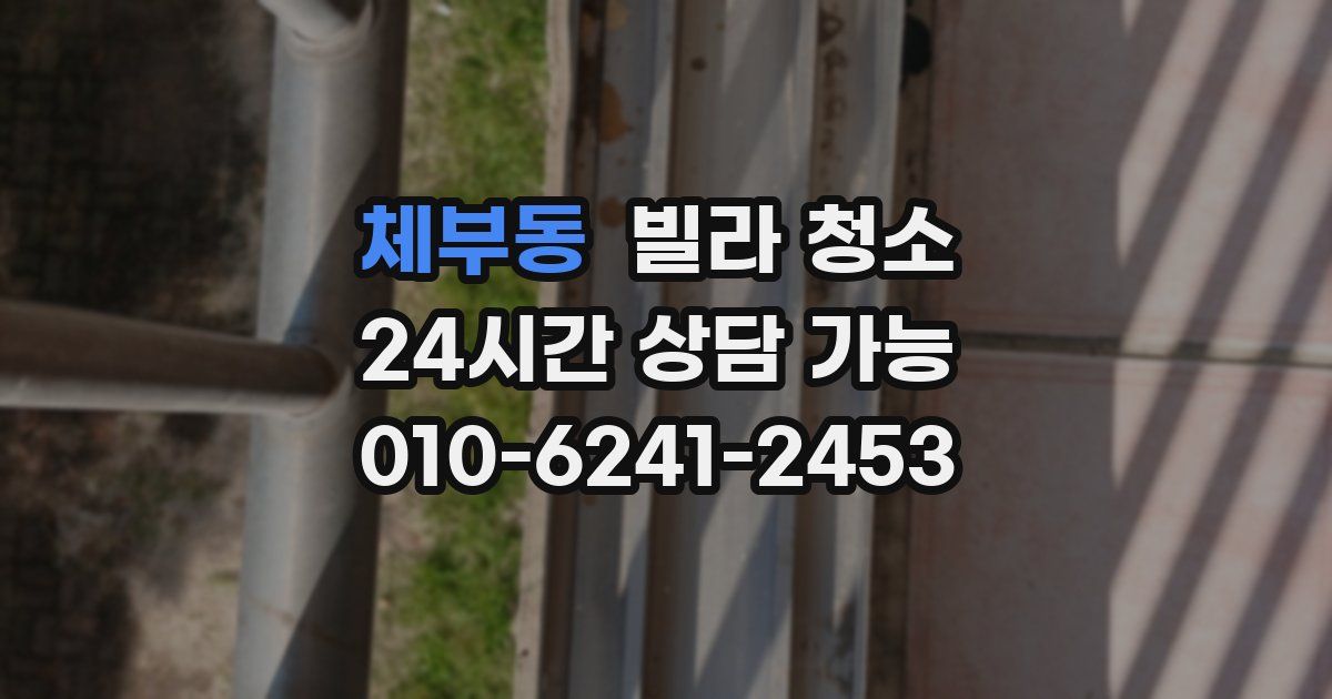 체부동 빌라 청소
