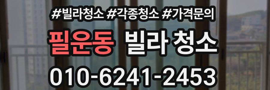 필운동 빌라 청소