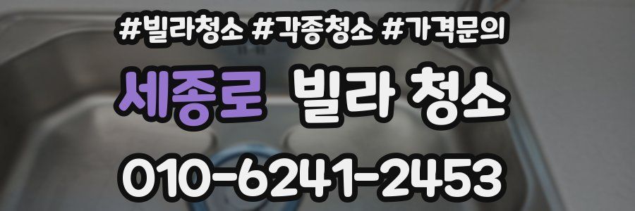 세종로 빌라 청소