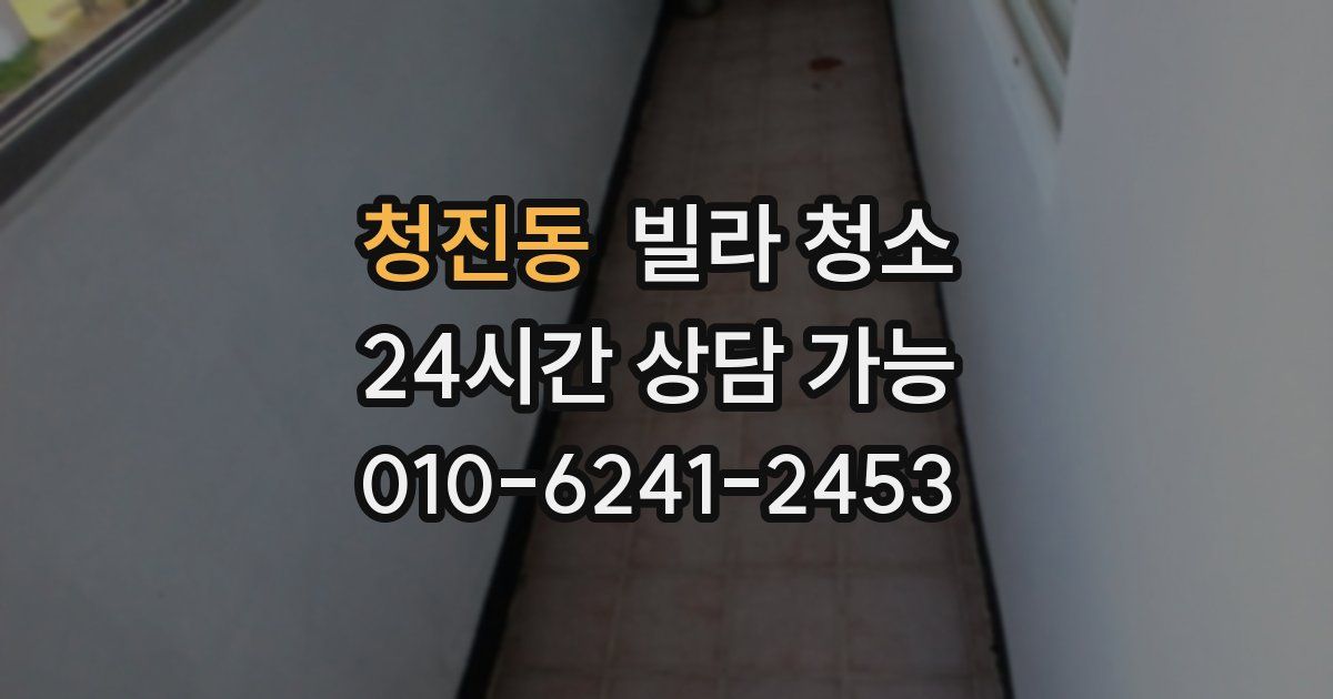 청진동 빌라 청소