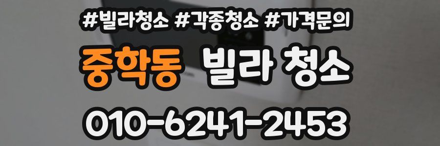 중학동 빌라 청소