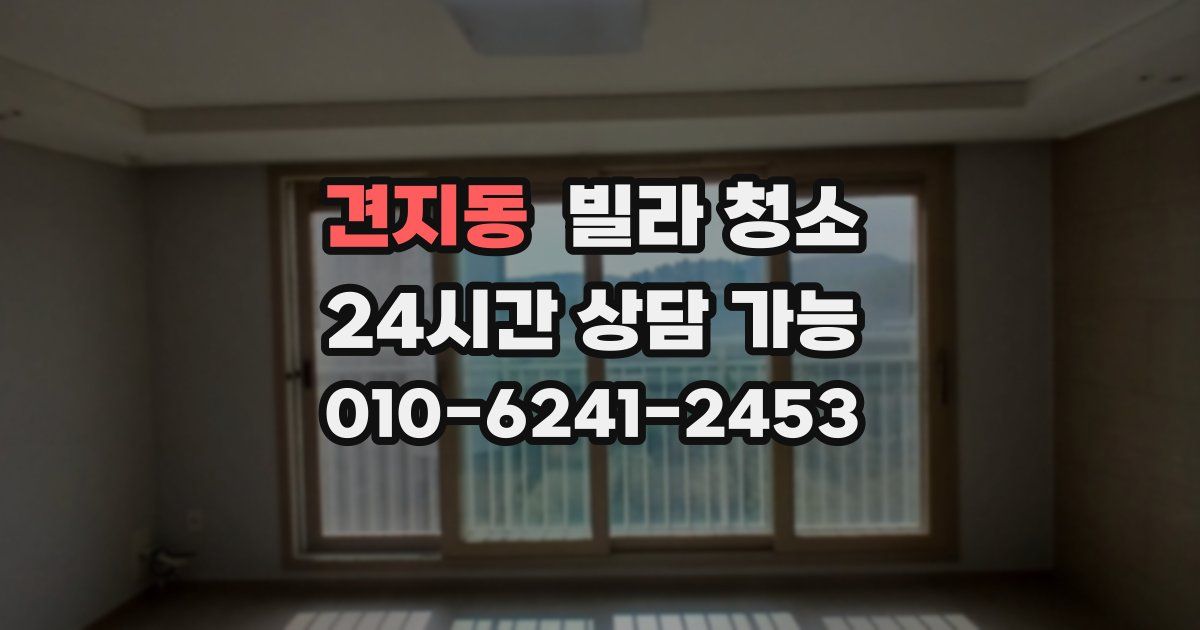 견지동 빌라 청소