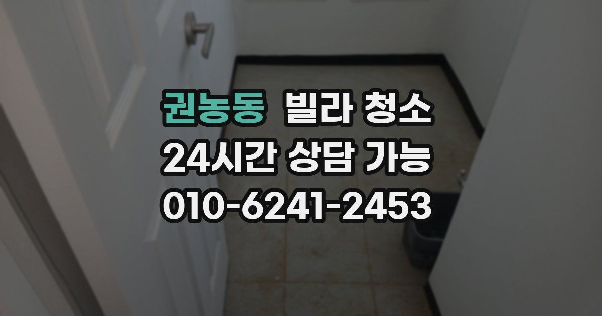 권농동 빌라 청소