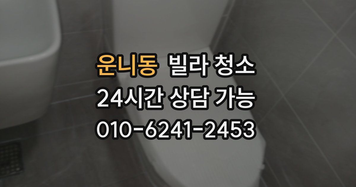 운니동 빌라 청소