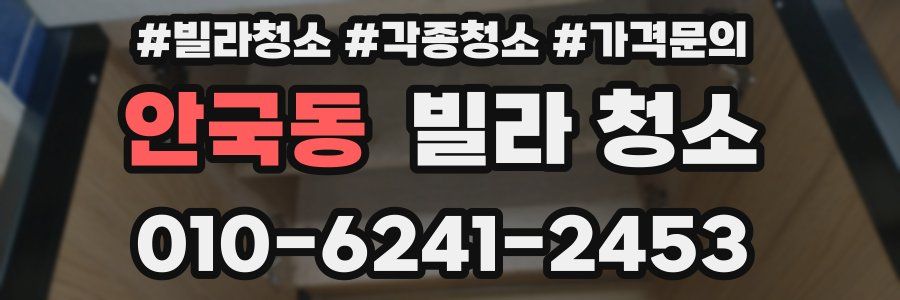 안국동 빌라 청소