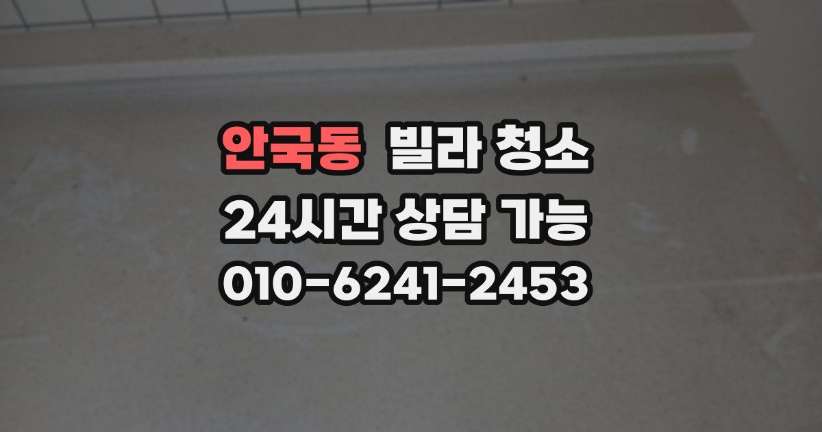 안국동 빌라 청소