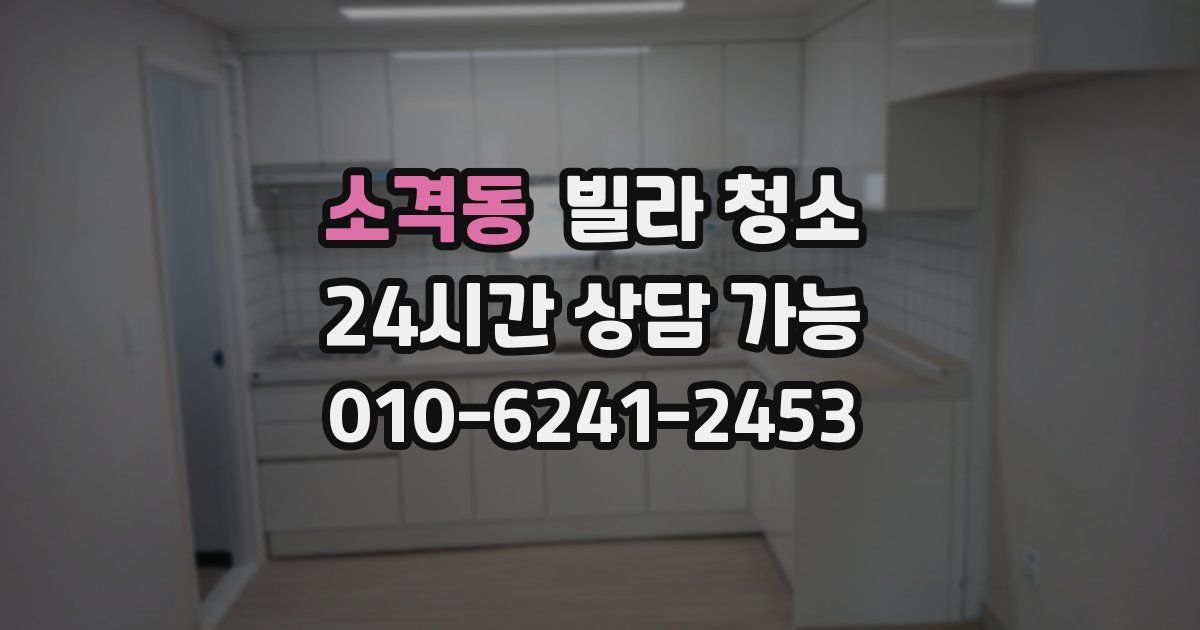 소격동 빌라 청소