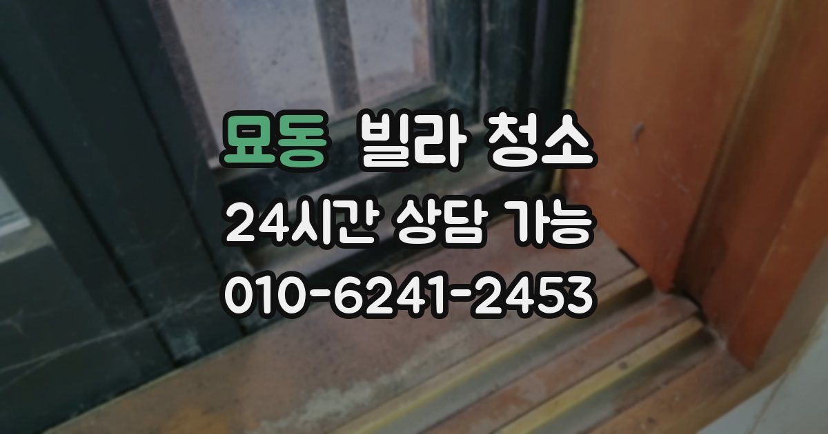 묘동 빌라 청소