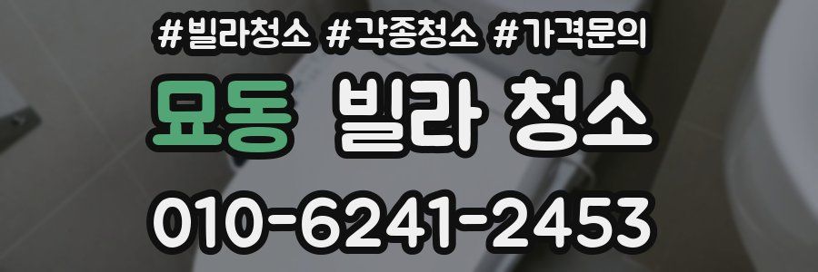 묘동 빌라 청소