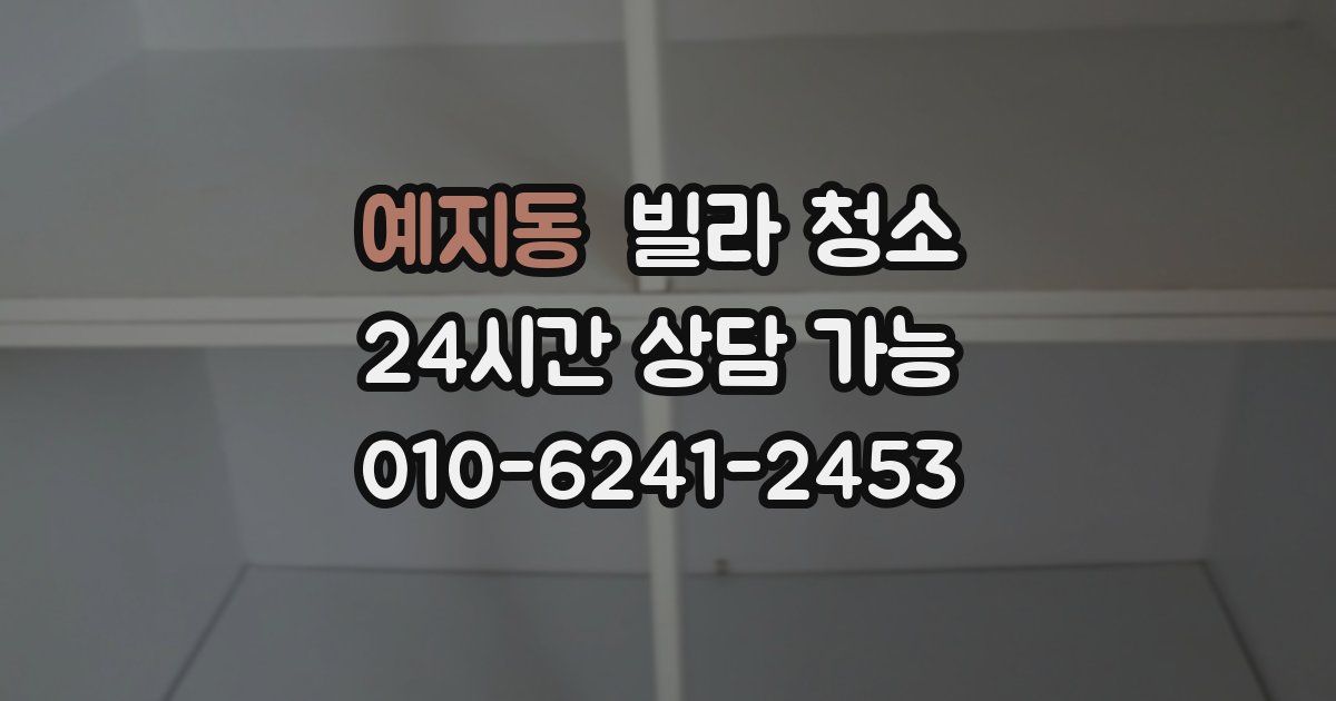 예지동 빌라 청소