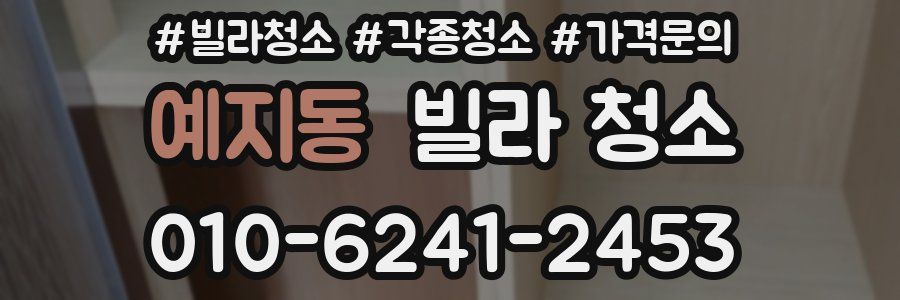 예지동 빌라 청소