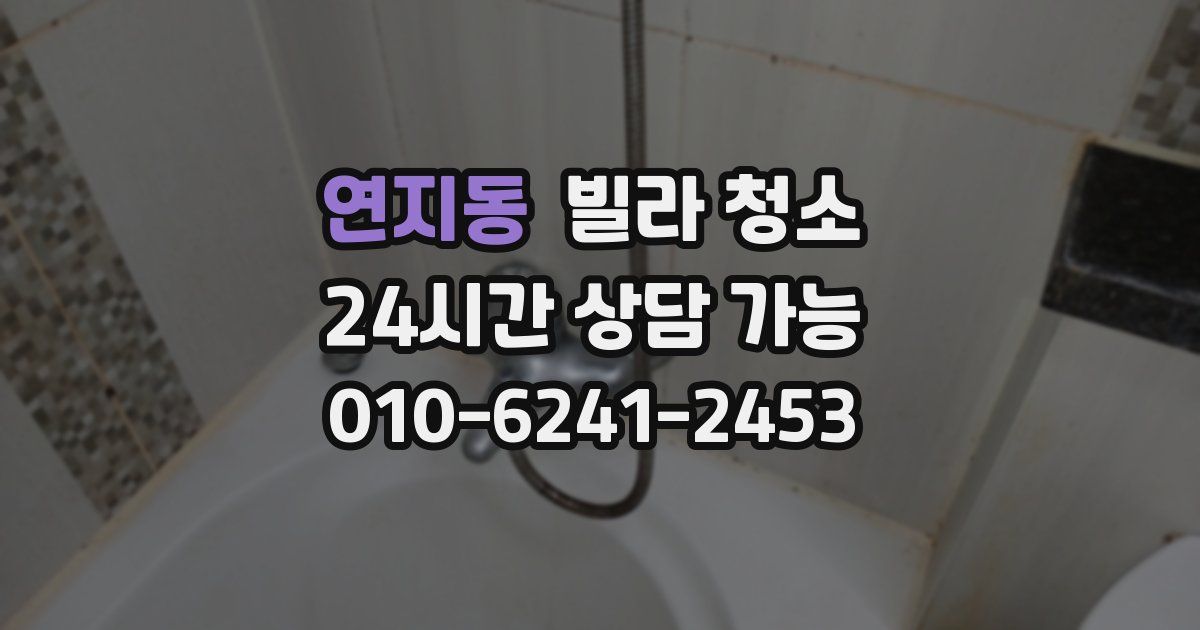 연지동 빌라 청소