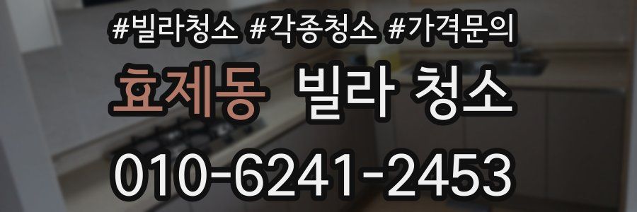 효제동 빌라 청소