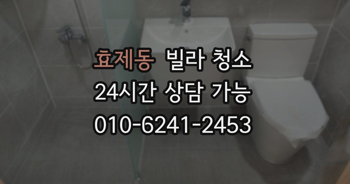 효제동 빌라 청소