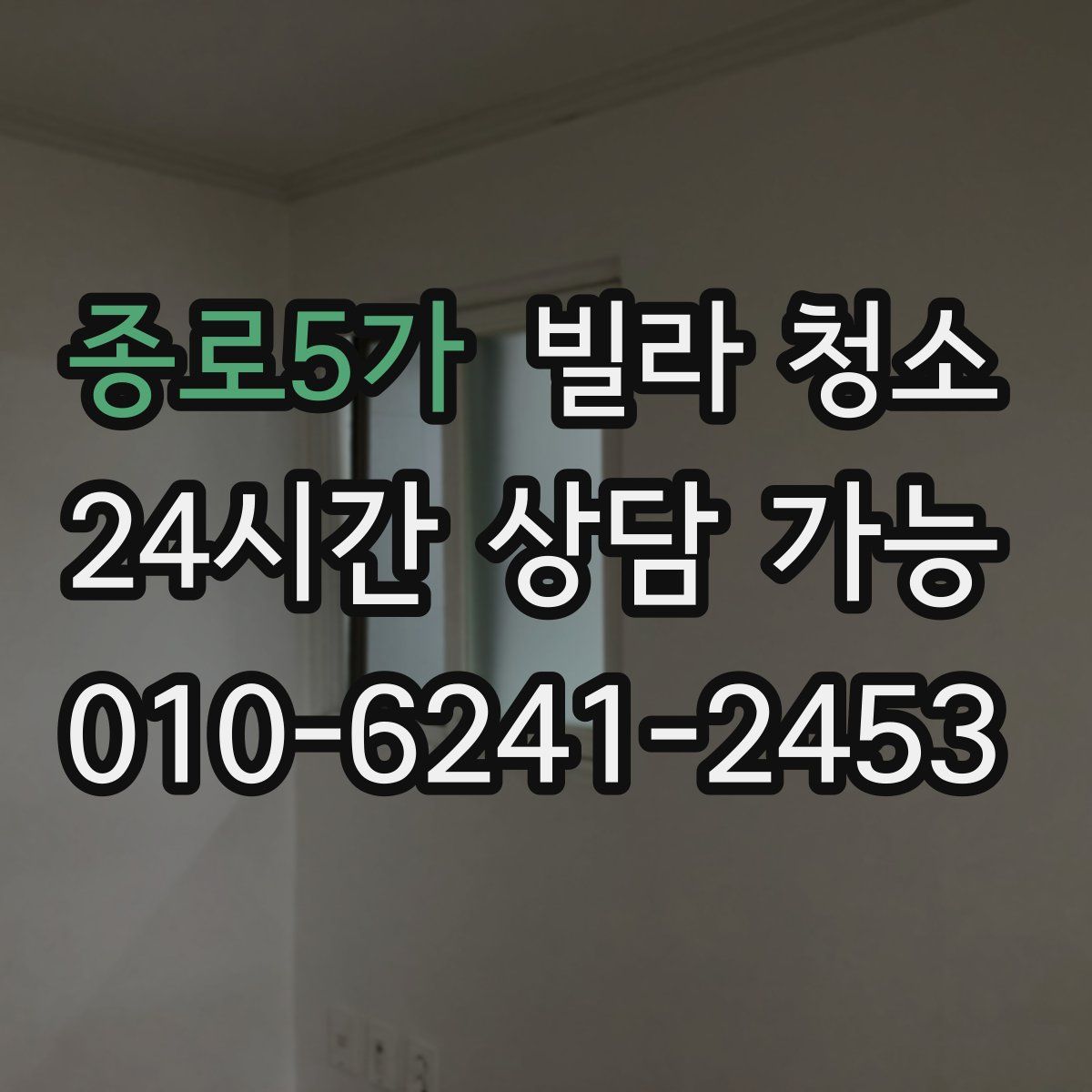 종로5가 빌라 청소