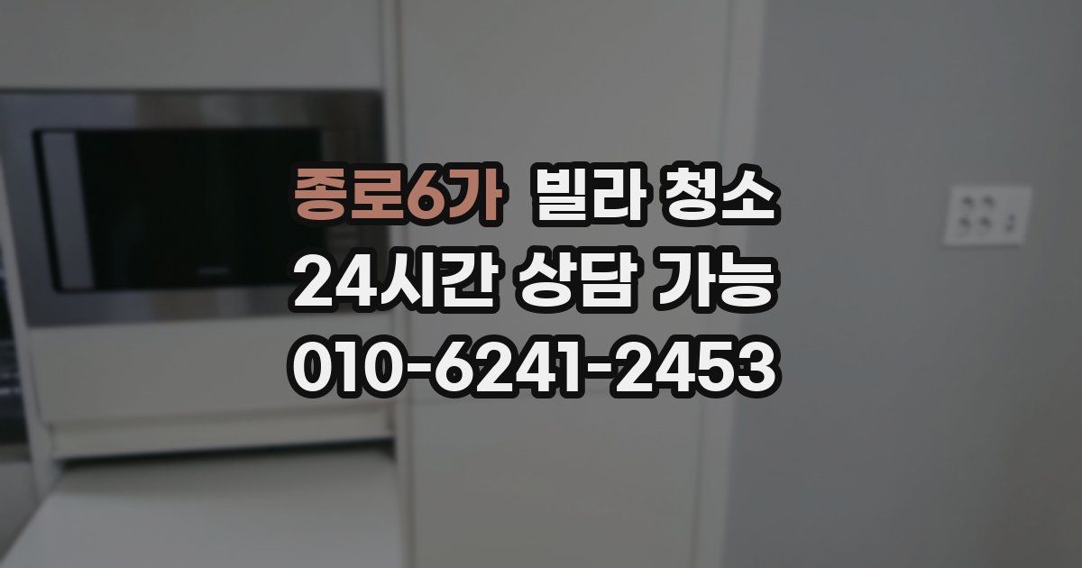 종로6가 빌라 청소