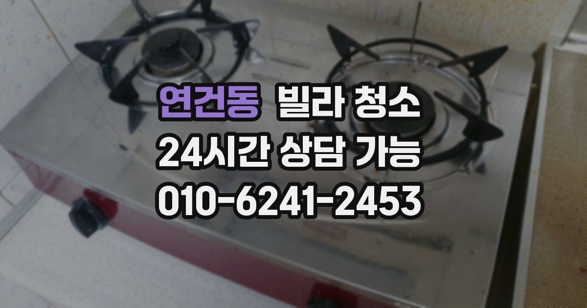 연건동 빌라 청소