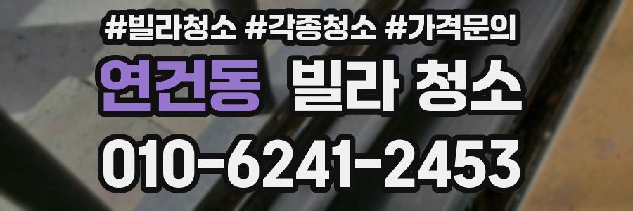 연건동 빌라 청소