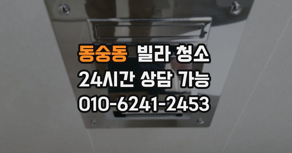 동숭동 빌라 청소