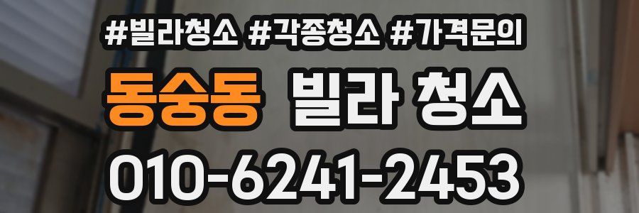 동숭동 빌라 청소