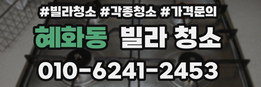 혜화동 빌라 청소