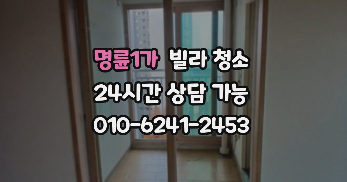 명륜1가 빌라 청소