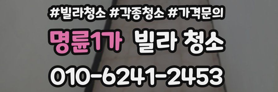 명륜1가 빌라 청소