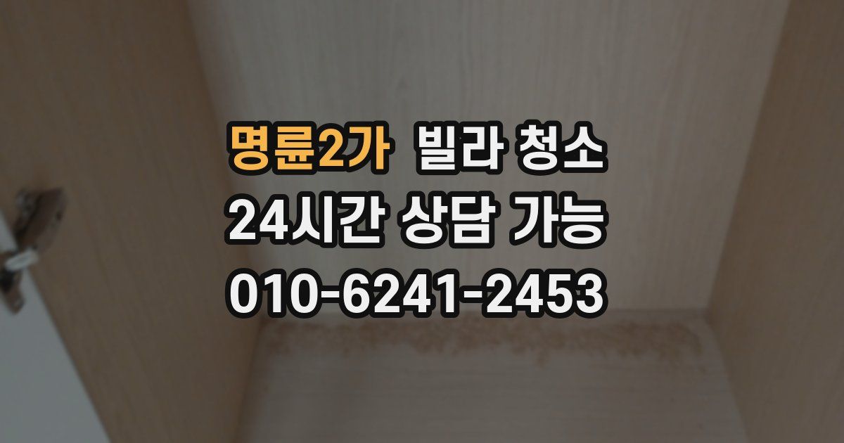 명륜2가 빌라 청소