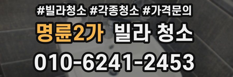 명륜2가 빌라 청소