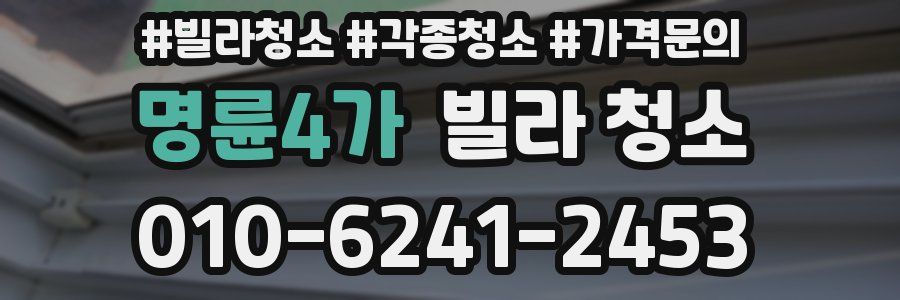 명륜4가 빌라 청소