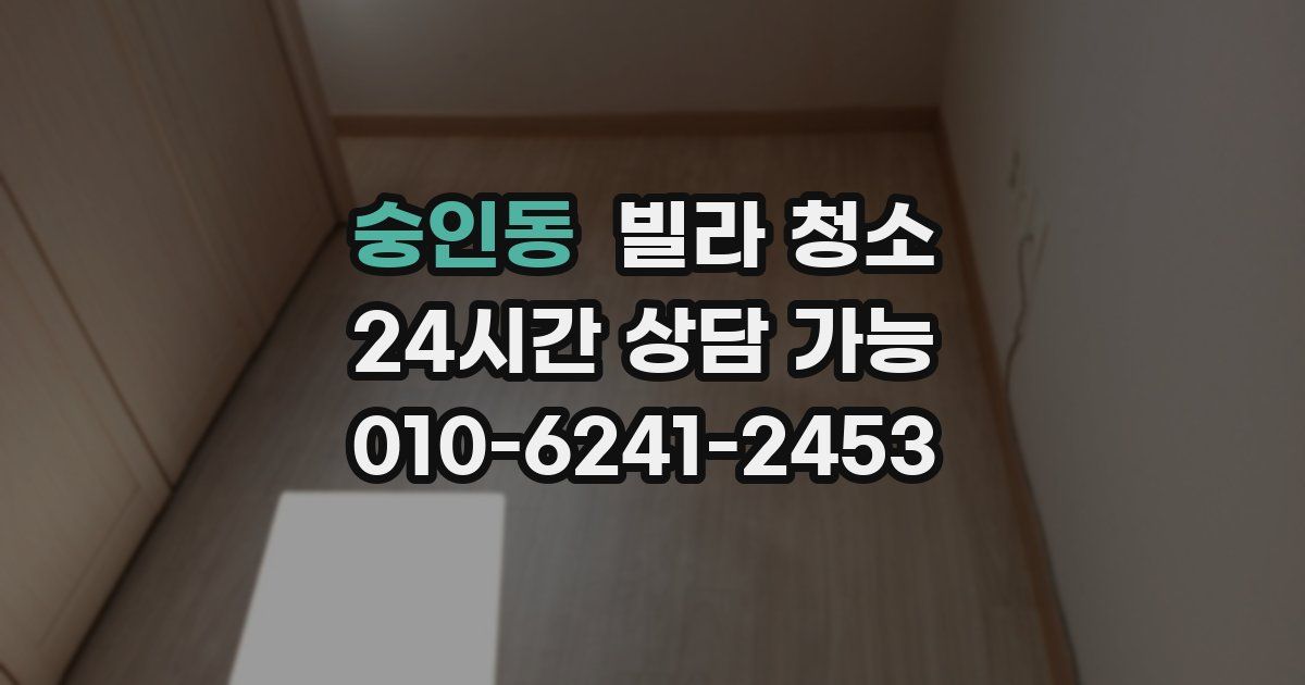 숭인동 빌라 청소