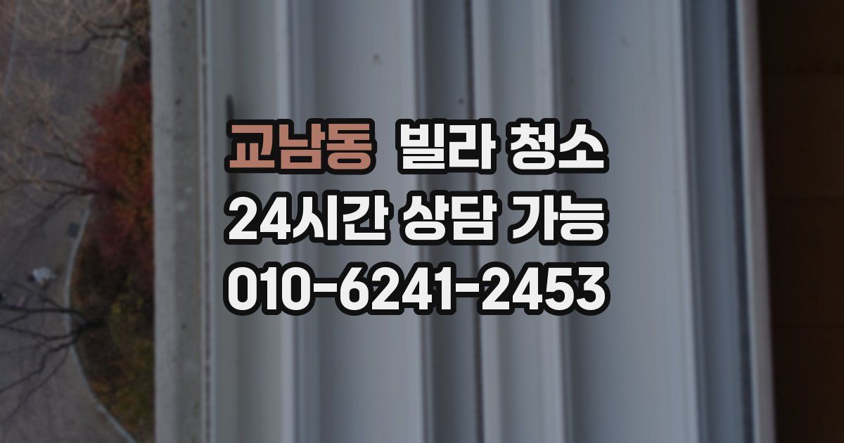 교남동 빌라 청소