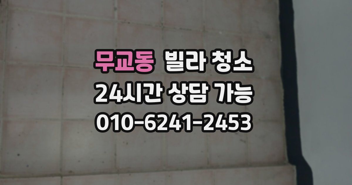 무교동 빌라 청소