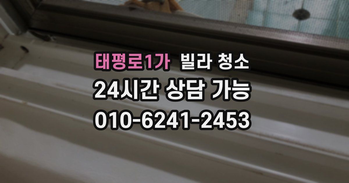 태평로1가 빌라 청소