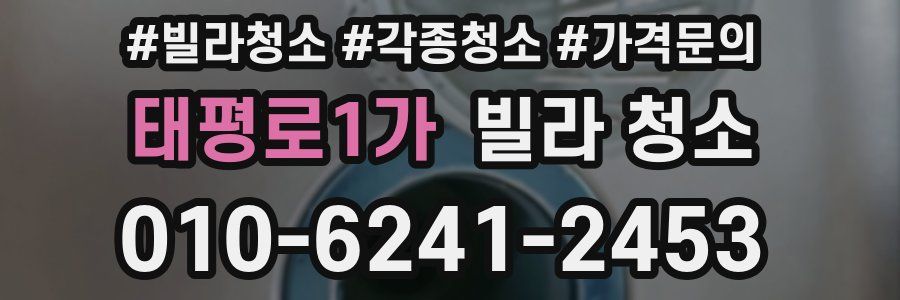 태평로1가 빌라 청소