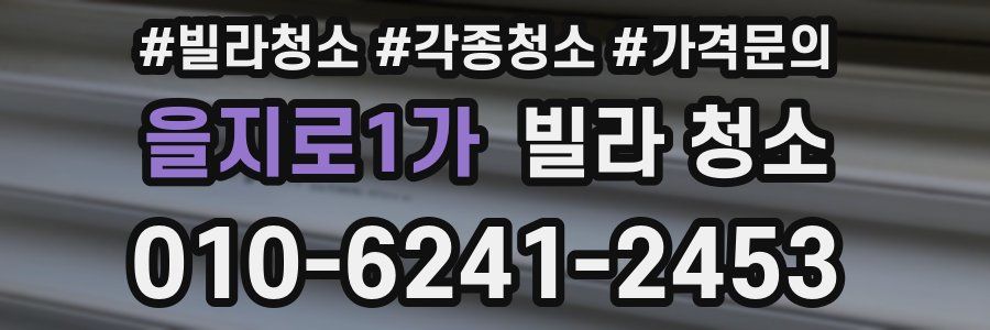 을지로1가 빌라 청소