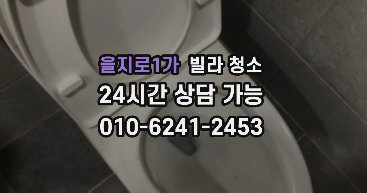 을지로1가 빌라 청소