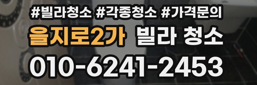 을지로2가 빌라 청소
