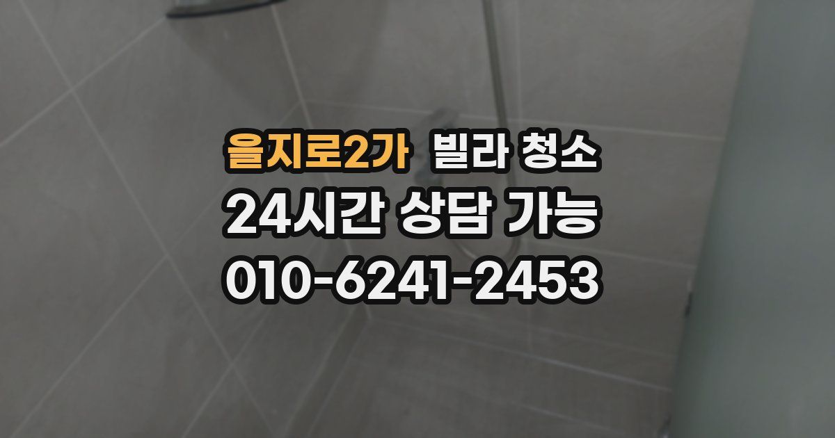 을지로2가 빌라 청소