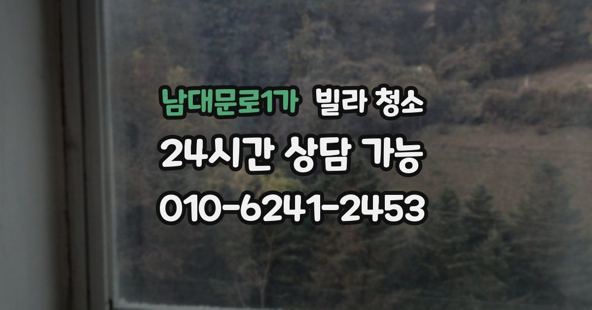 남대문로1가 빌라 청소