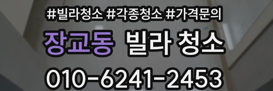 장교동 빌라 청소