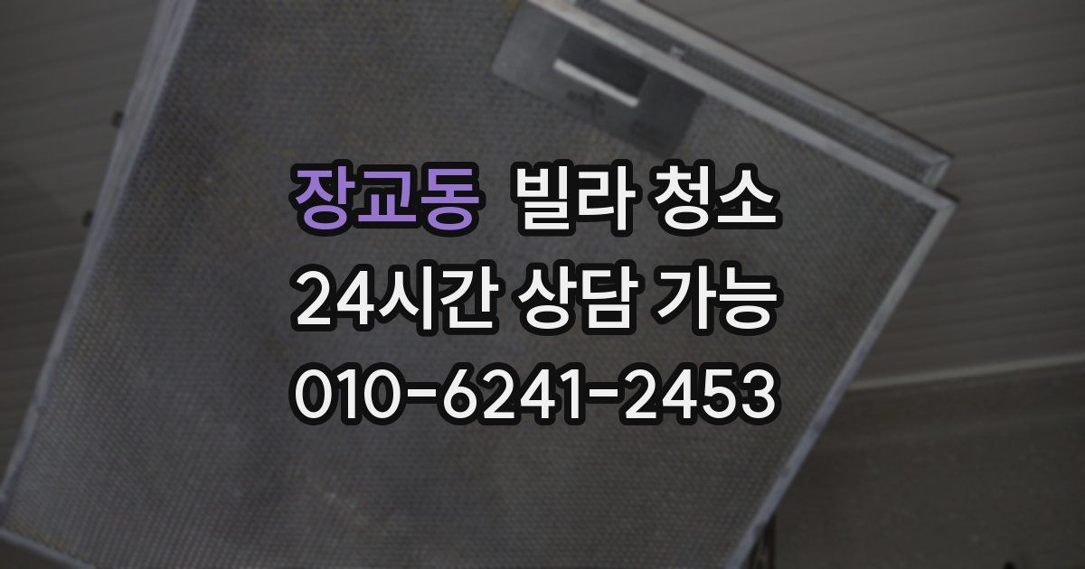 장교동 빌라 청소