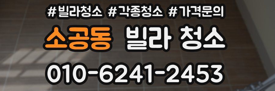 소공동 빌라 청소