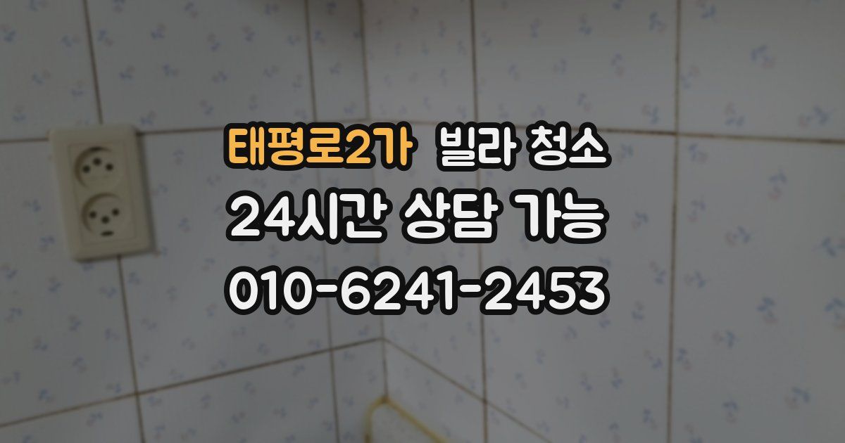 태평로2가 빌라 청소