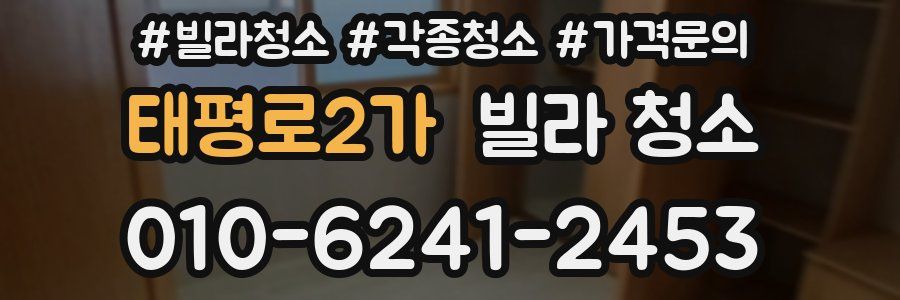 태평로2가 빌라 청소