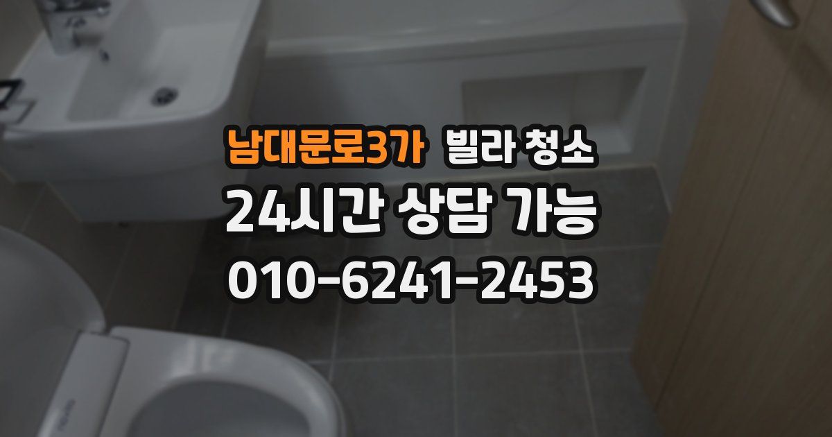 남대문로3가 빌라 청소