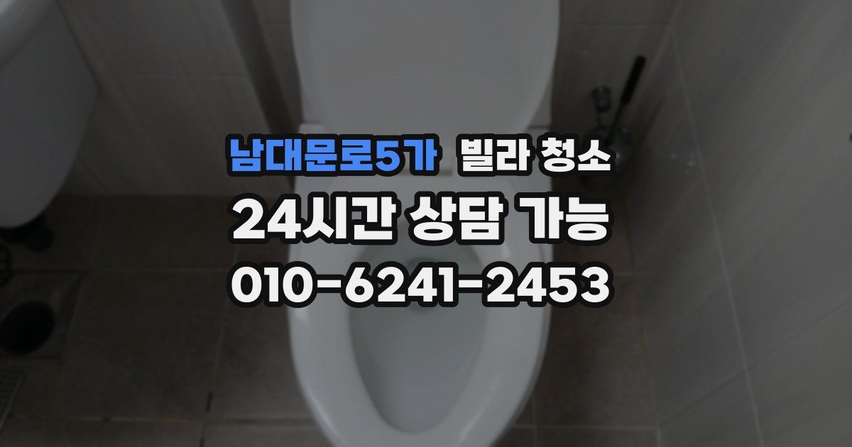 남대문로5가 빌라 청소