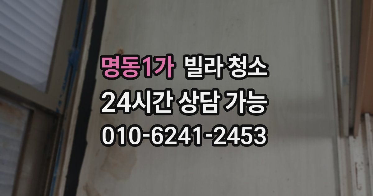 명동1가 빌라 청소