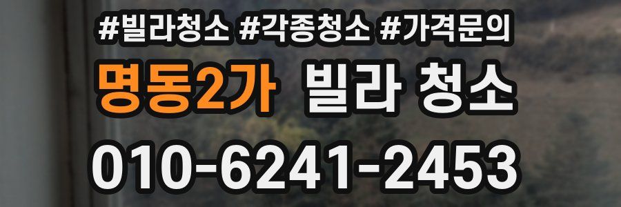 명동2가 빌라 청소